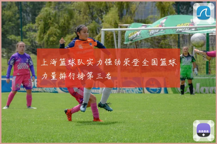 上海篮球队实力强劲荣登全国篮球力量排行榜第三名
